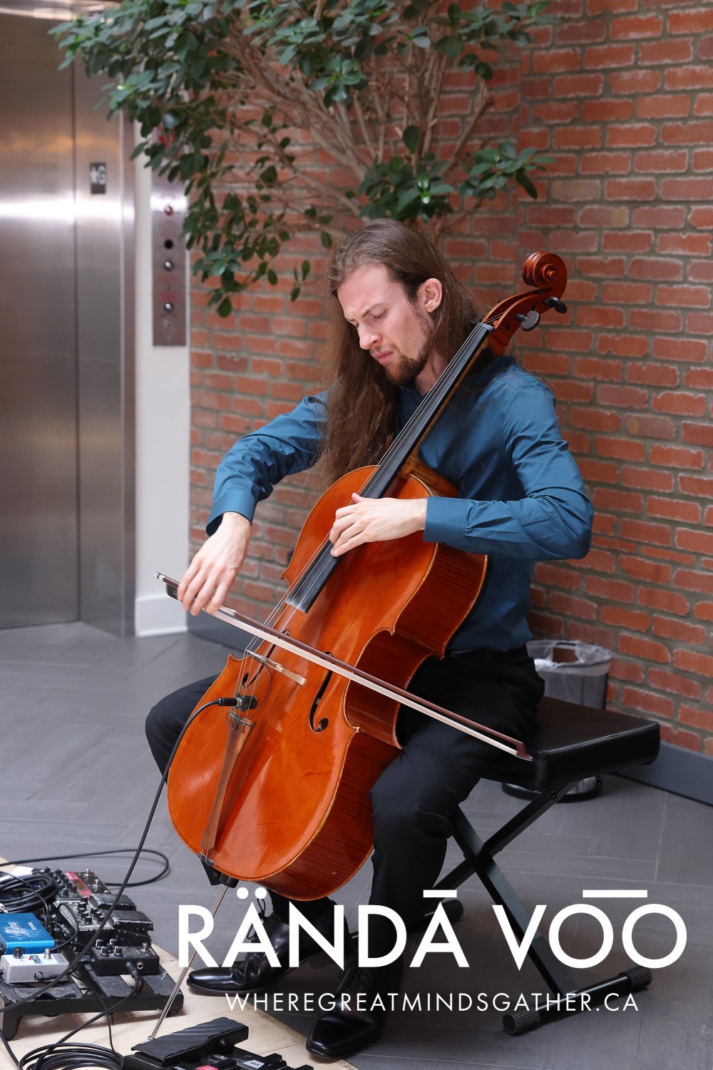 A seated cellist performing beside a brick wall at The Metcalfe Hotel.